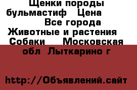 Щенки породы бульмастиф › Цена ­ 25 000 - Все города Животные и растения » Собаки   . Московская обл.,Лыткарино г.